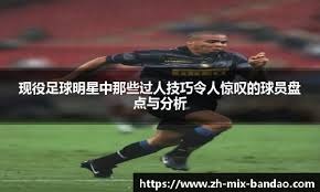 网背后